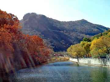 新澳天天开奖资料大全旅游团，护花使者小说